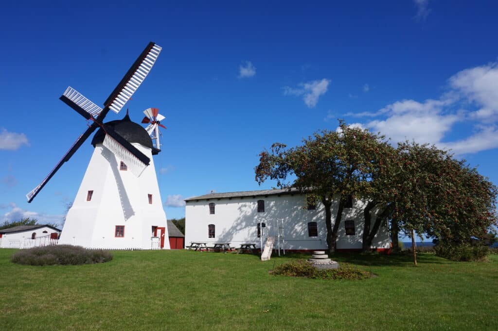 Weiße Windmühle Aarsdale Mølle mit schwarzer Haube und Flügeln neben einem weißen Gebäude auf grünem Rasen