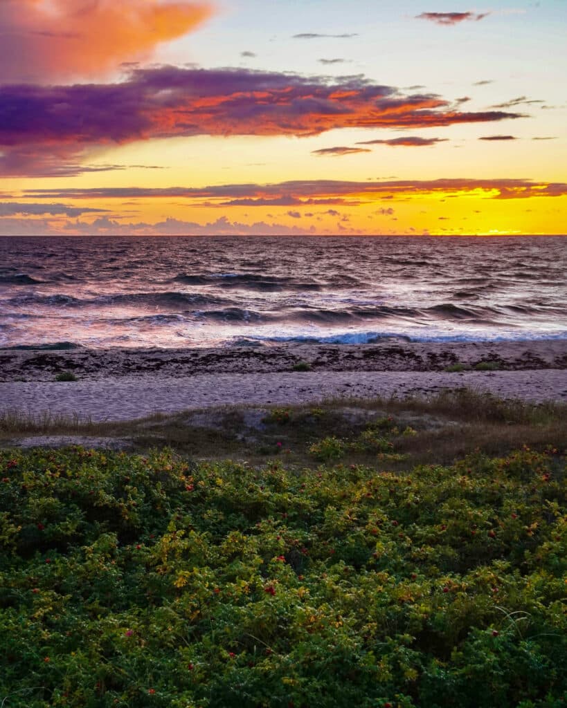 Sonnenuntergang über dem Meer und bewachsener Strand in Rønne