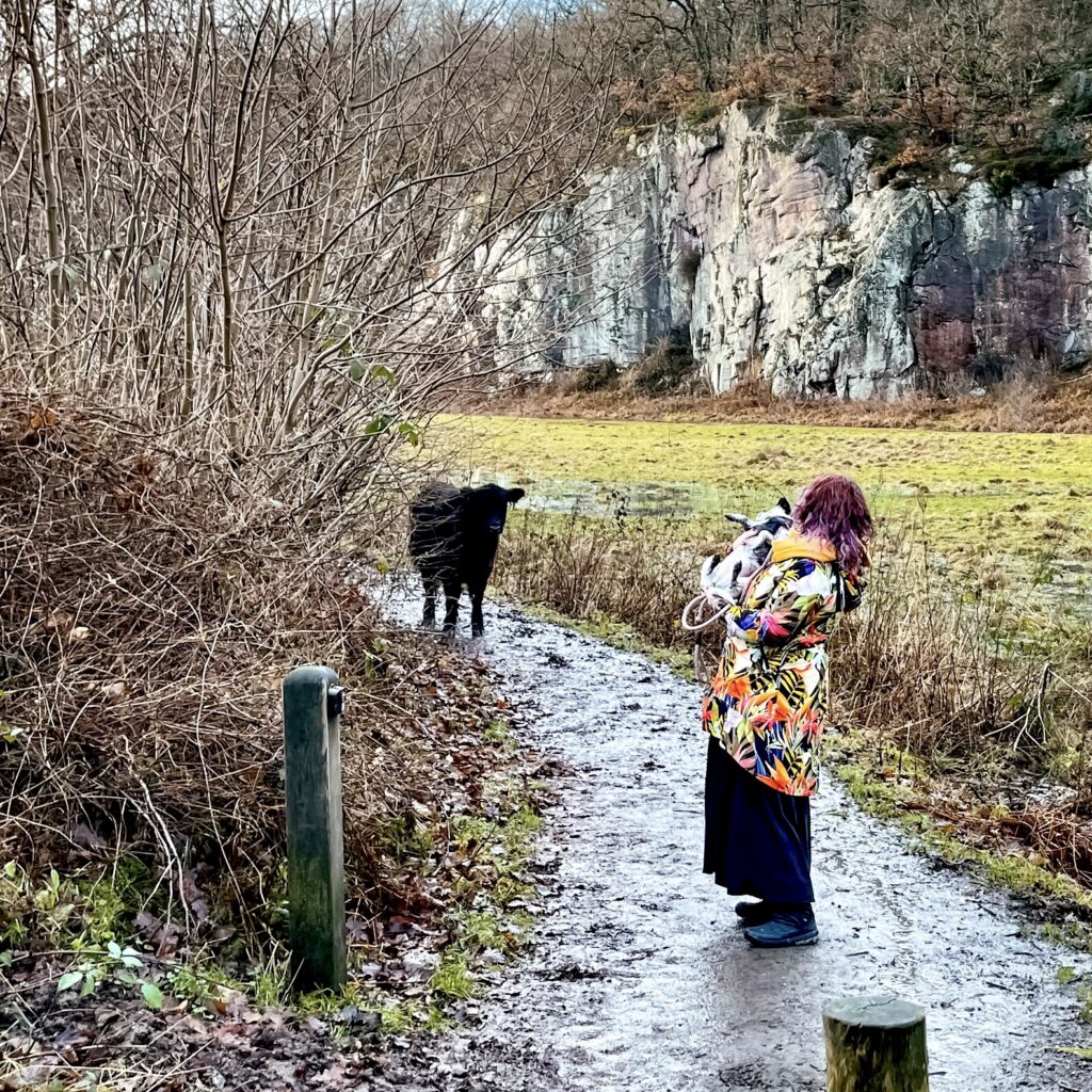 Ekkodalen mit Hund