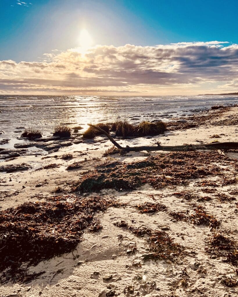Strand in Snogebæk, Foto: Ewelina Podrez-Siama, 2022