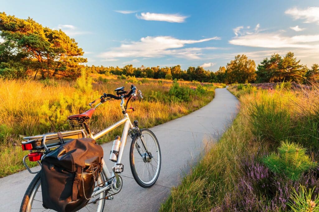 Trekkingrad mit Packtasche auf einem asphaltierten Radweg zwischen Heide und Kiefern im goldenen Licht