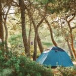 Wildcampen in Dänemark Die Regeln – und wo du auf Bornholm zelten darfst