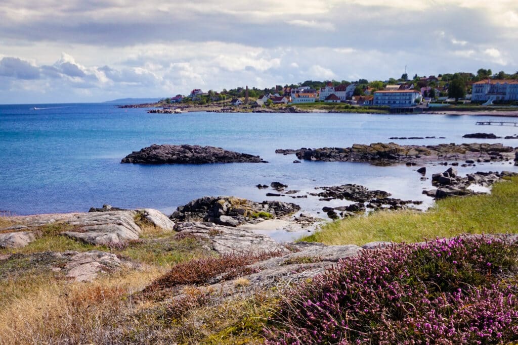 Felsige Küste mit blühendem Heidekraut und die Bucht bei Sandvig im Norden Bornholms