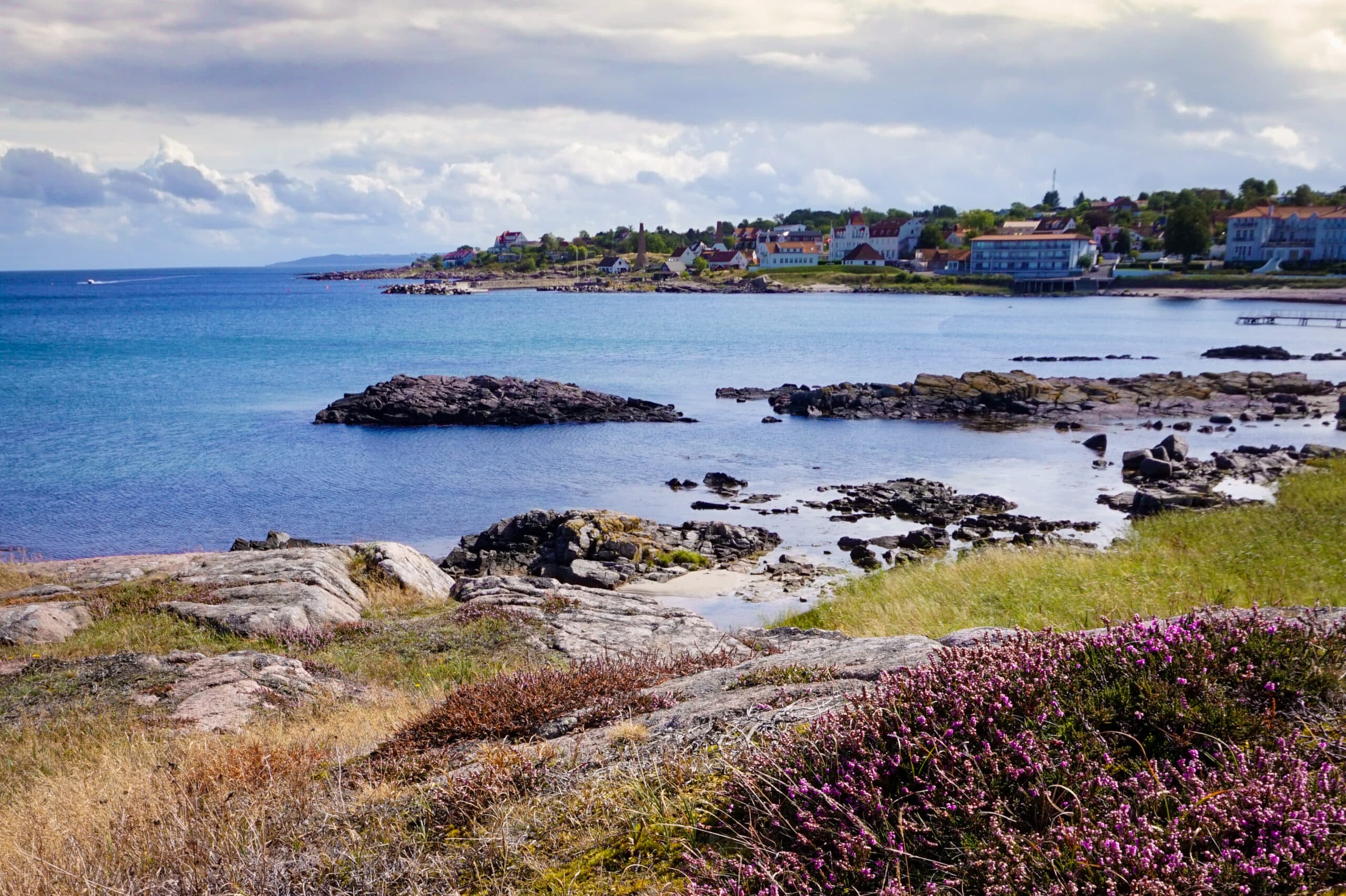 Felsige Küste mit blühendem Heidekraut und die Bucht bei Sandvig im Norden Bornholms