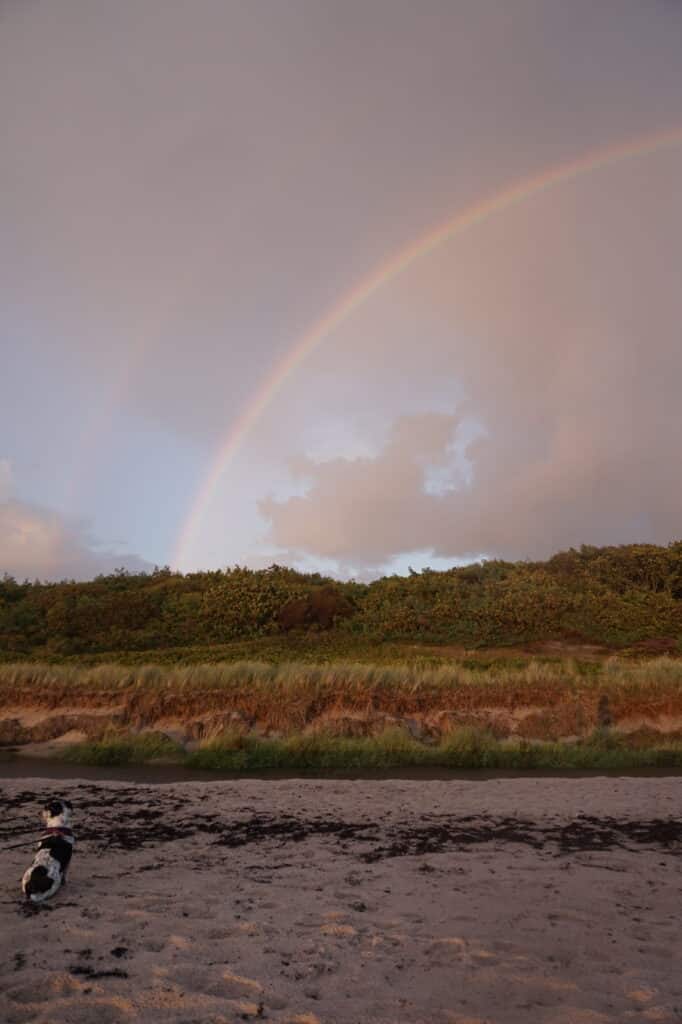 Sonnenuntergang in Rønne, Foto: Ewelina Podrez-Siama