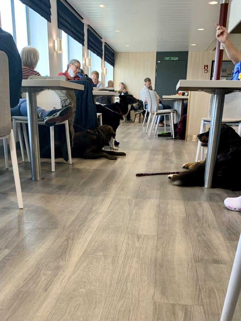 Hunde liegen unter den Tischen im Passagiersalon der Fähre