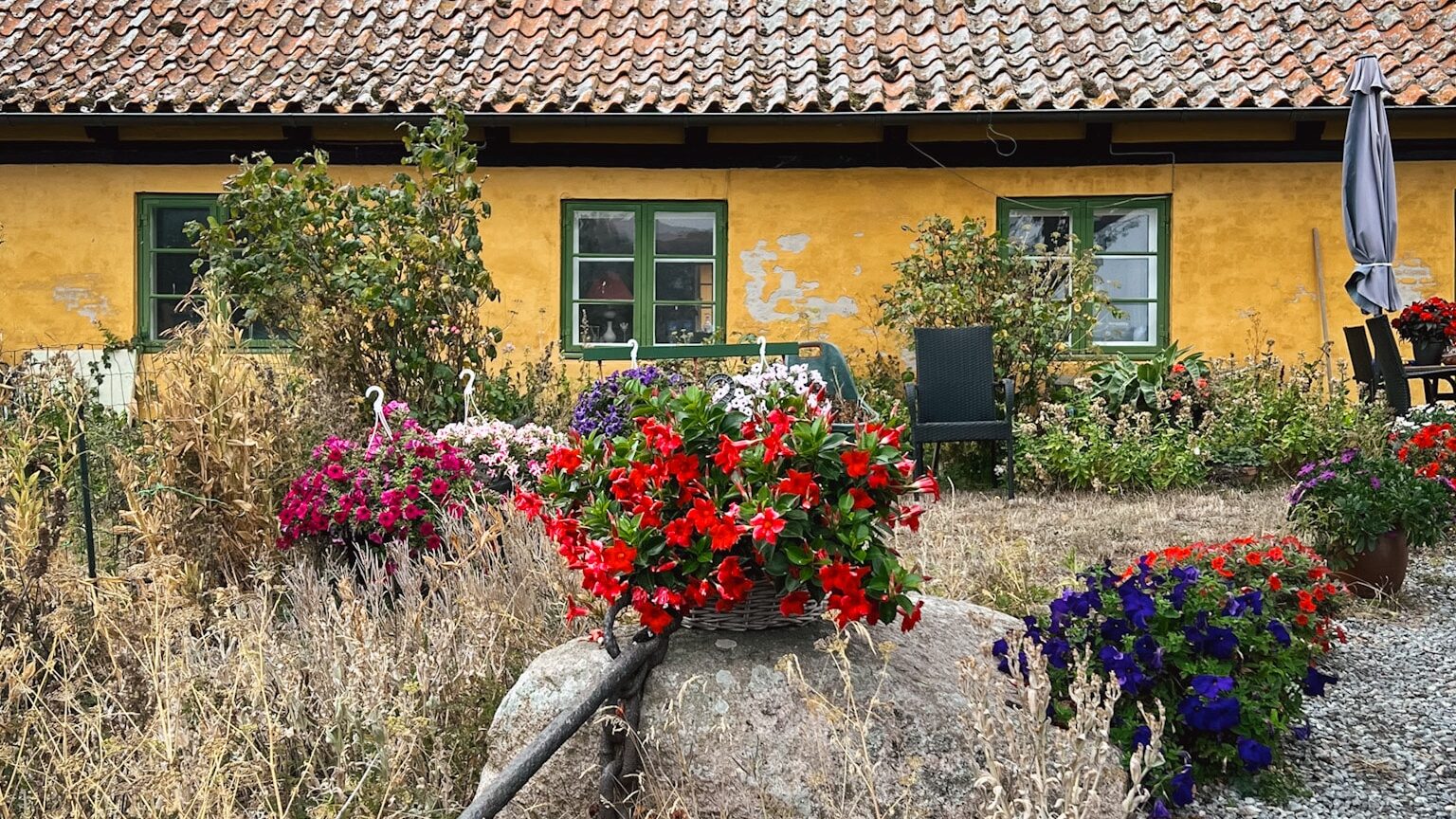 Gelbes Haus mit grünen Fenstern und Blumentöpfen im Vorgarten