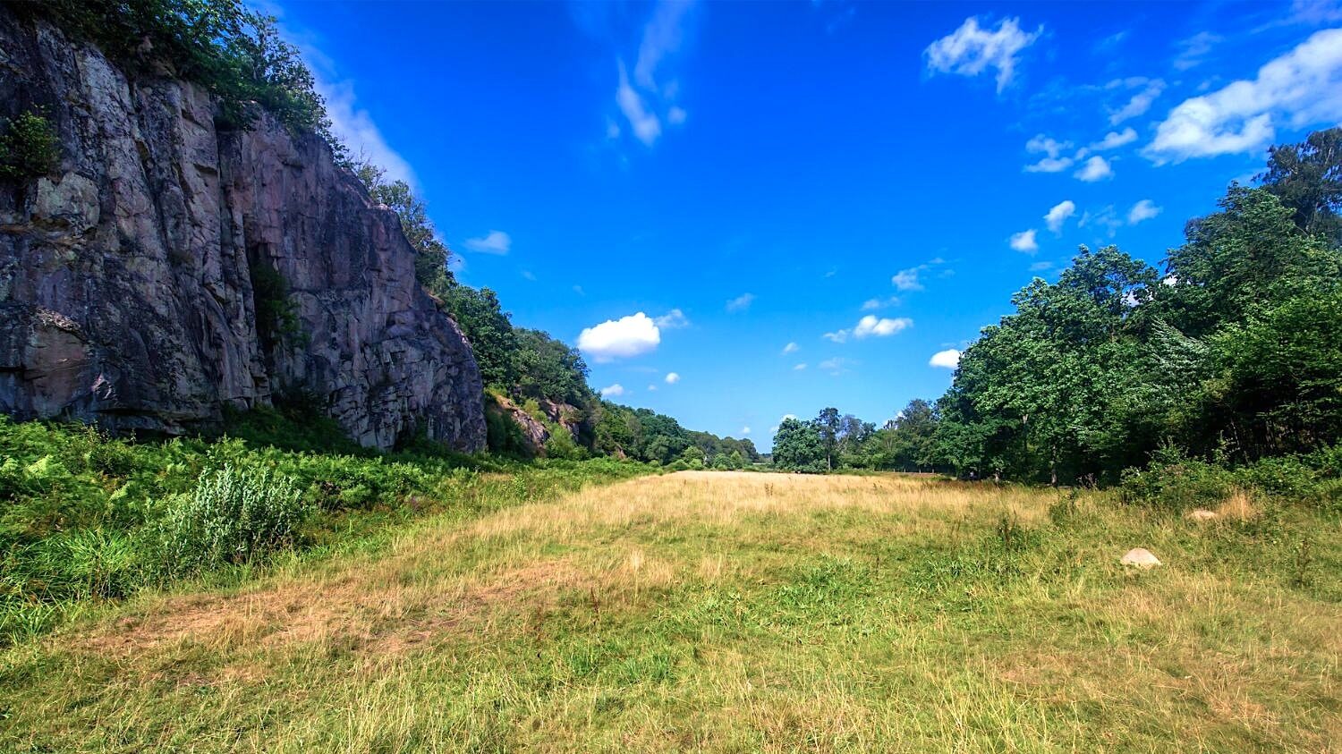 Grasbewachsenes Tal unter einer steilen, bewaldeten Felswand
