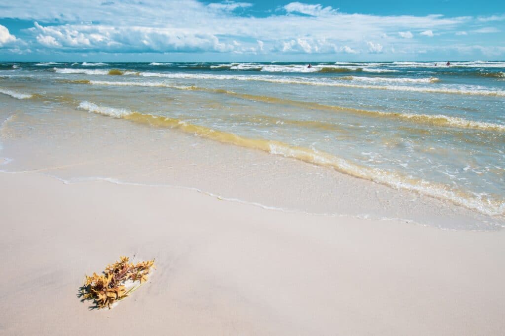 Weißer Sand und Wellen am Strand von Dueodde