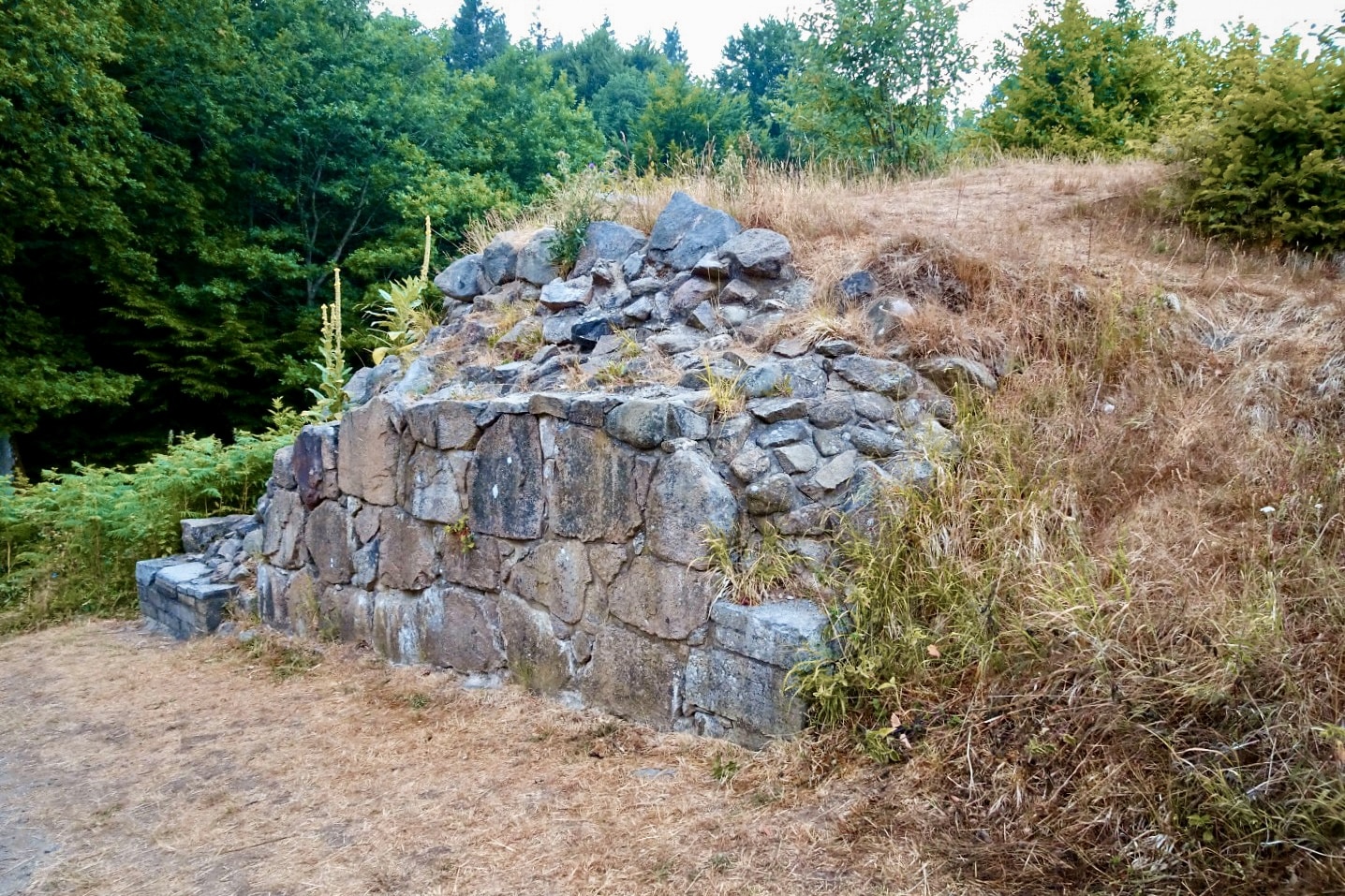 Mauerreste der Festung Gamleborg in Almindingen, mit trockenem Gras bewachsen, am Waldrand