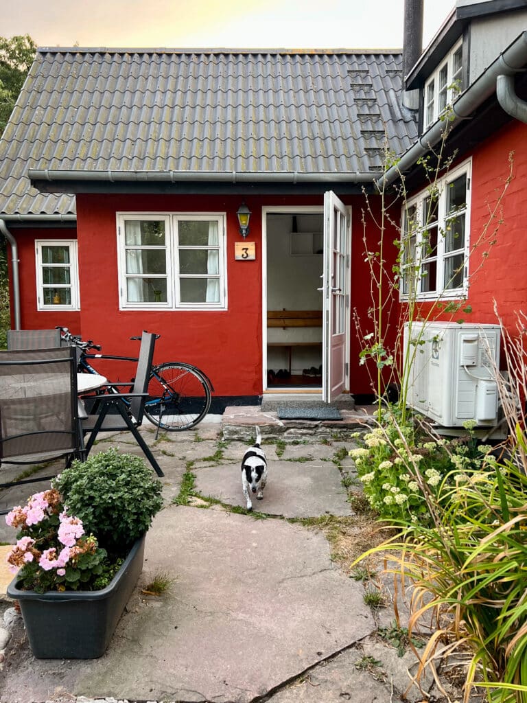 Eingang eines roten Hauses mit der Nummer 3, vor der Tür ein kleiner Hund, ein Fahrrad und ein Blumenkübel mit rosa Blumen