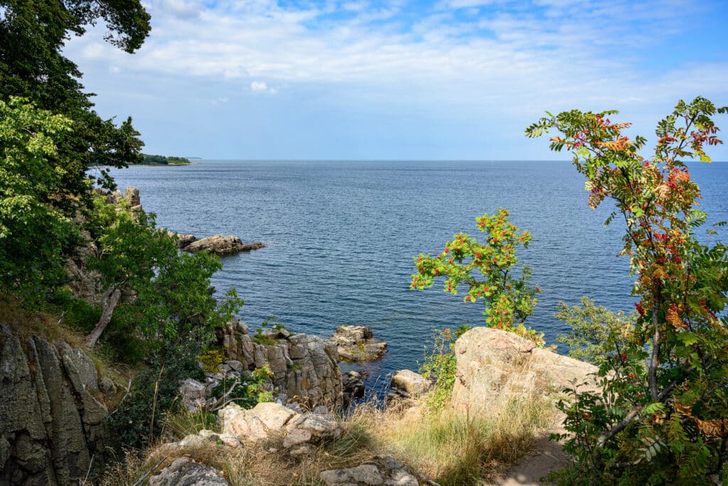 Blick vom Küstenweg an den Helligdomsklipperne auf die Ostsee: Granitfelsen und Ebereschen mit Früchten