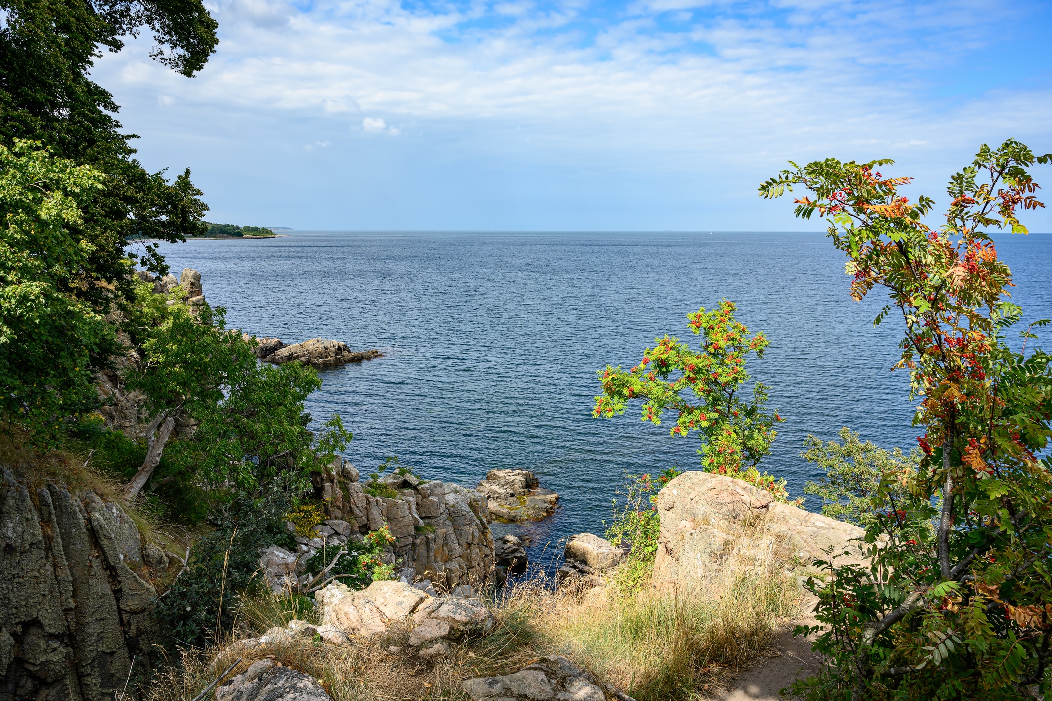 Blick vom Küstenweg an den Helligdomsklipperne auf die Ostsee: Granitfelsen und Ebereschen mit Früchten