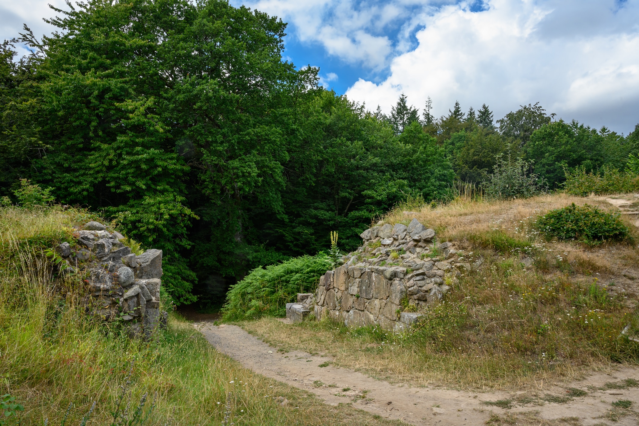 Paradisbakkerne (Paradieshügel)