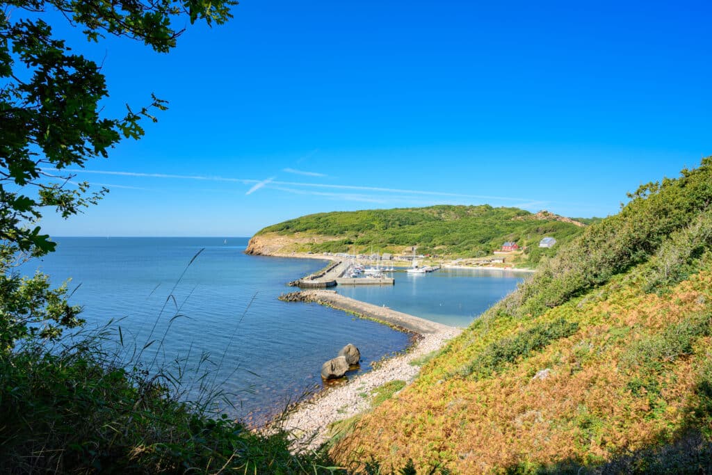 Blick von einem bewachsenen Hang auf den Hafen Hammerhavn und die Bucht