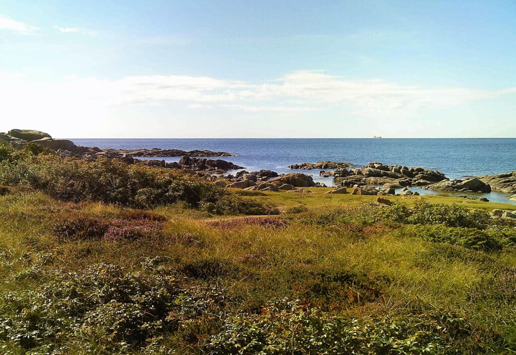 Mit Heidekraut und Gras bewachsene Küste Bornholms, Granitfelsen im Meer, am Horizont ein Schiff