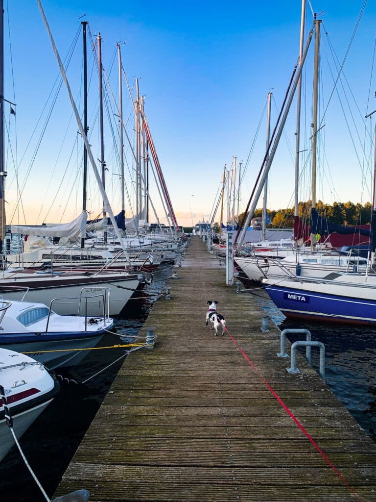 Steg im Yachthafen von Ralswiek