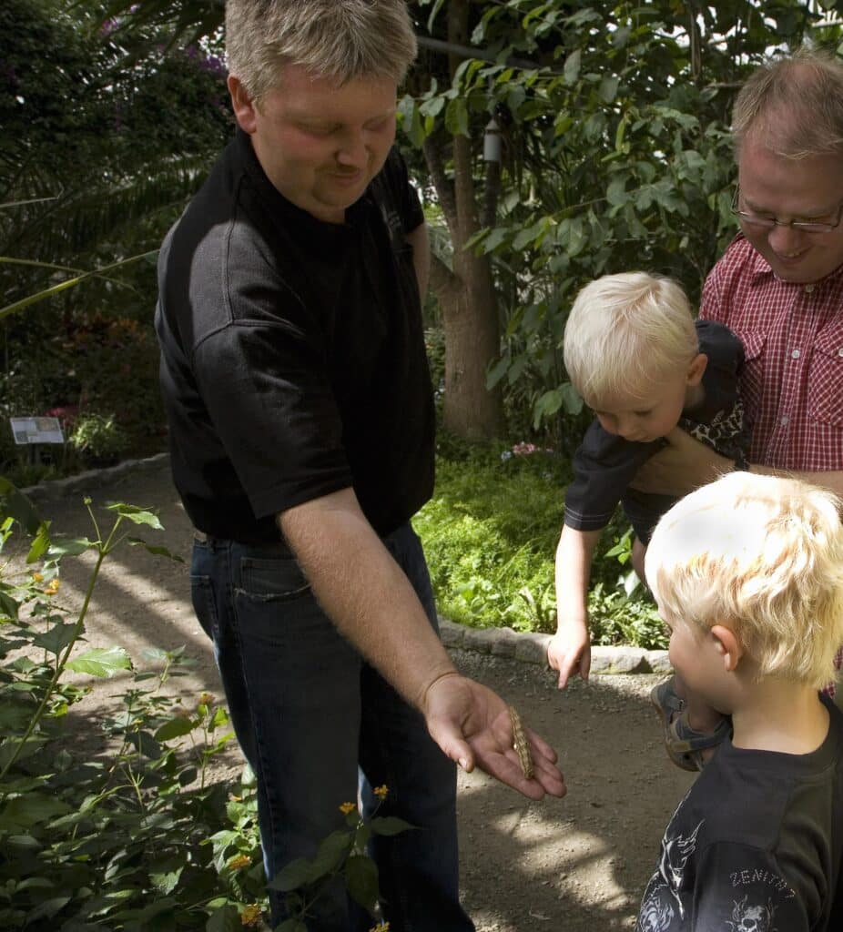 Ein Mitarbeiter zeigt Kindern einen Schmetterling auf seiner Hand im tropischen Schmetterlingshaus