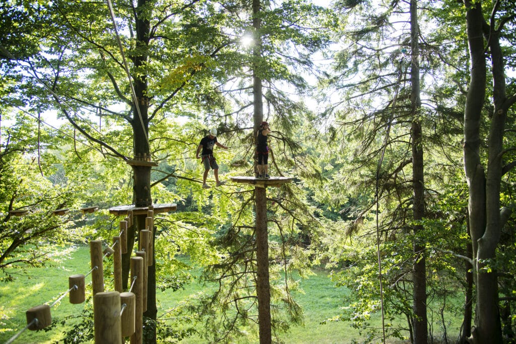Kletterwald: Plattformen und Übergänge hoch zwischen den Bäumen