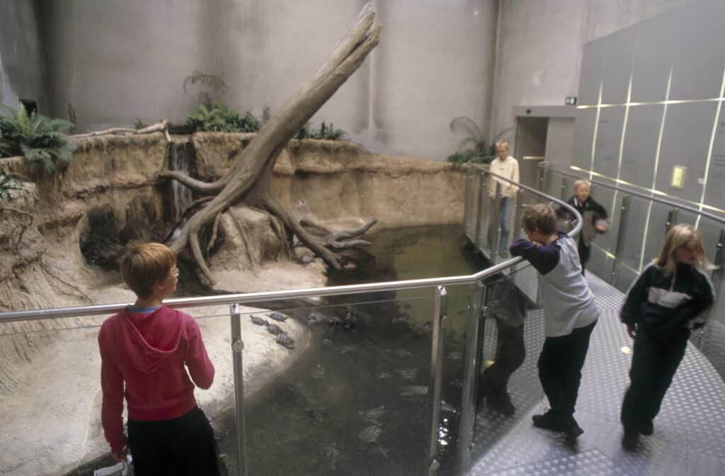 Kinder am Geländer betrachten eine Ausstellung mit Wasser und Baumwurzeln