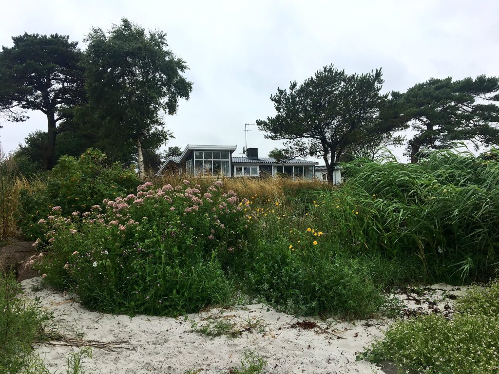 Blühende Sträucher und Gräser auf einer Düne mit weißem Sand, dahinter Kiefern und ein eingeschossiges Ferienhaus mit großen Fenstern