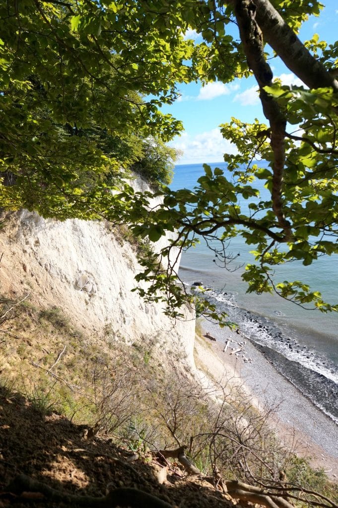Kreidefelsen von Jasmund von oben, durch Buchenzweige gesehen