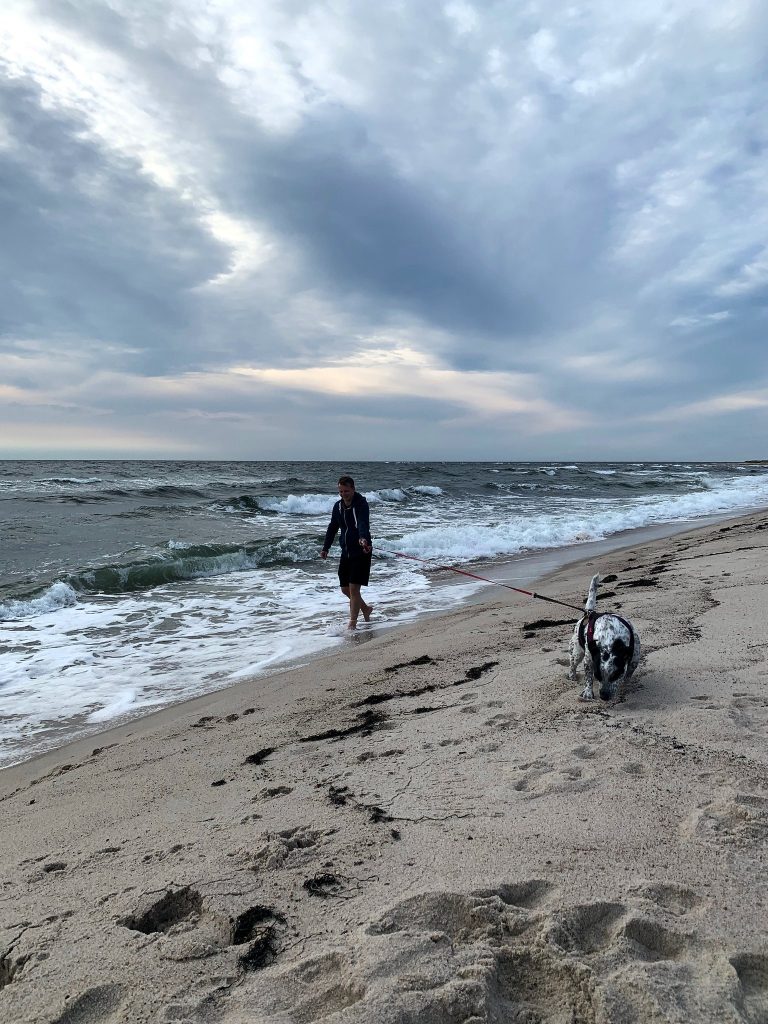 Mann mit schwarz-weißem Hund an der Leine geht am Ufer eines Sandstrands entlang, über der aufgewühlten See ein bewölkter Himmel