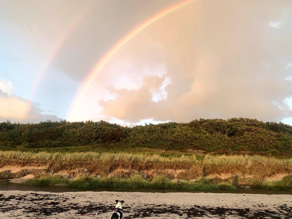 Doppelter Regenbogen am rosa Abendhimmel über bewachsenen Dünen, am Strand ein kleiner Hund