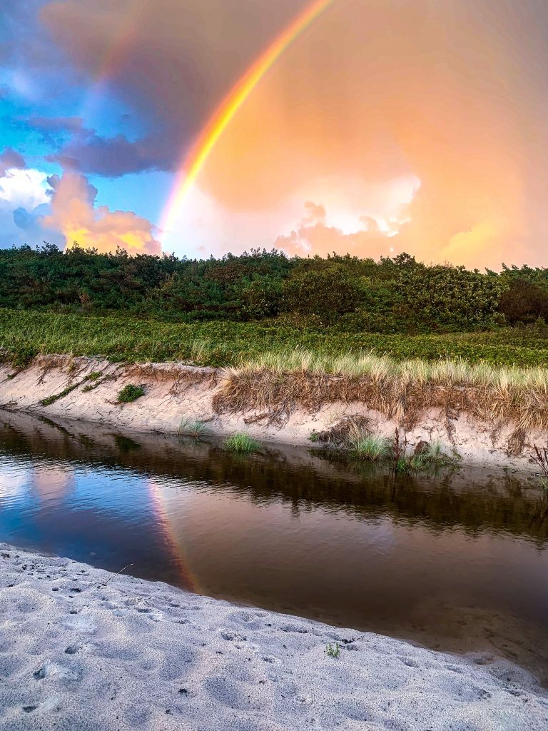 Ein Regenbogen spiegelt sich in einem Bach, der über den Strand fließt, dahinter eine sandige Böschung mit Gras und Wald