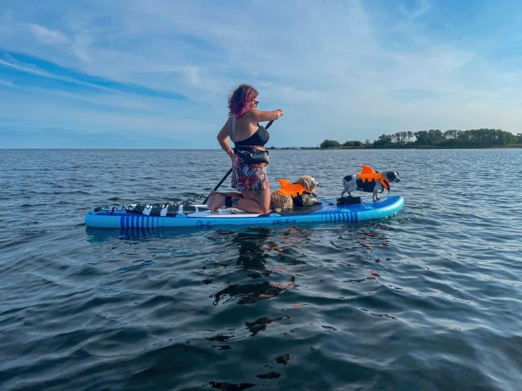 Ewelina Podrez-Siama kniet auf einem SUP-Board und paddelt, vor ihr zwei Hunde in orangefarbenen Schwimmwesten, im Hintergrund ein bewaldetes Ufer