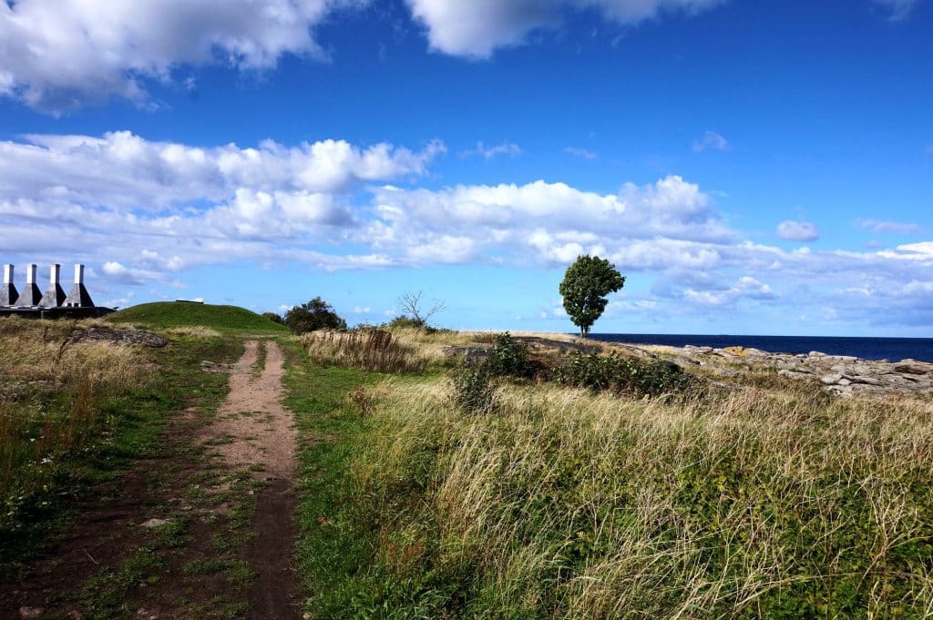 Pfad über eine Küstenwiese bei Svaneke, ein einzelner Baum, im Hintergrund die weißen Schornsteine der Räucherei